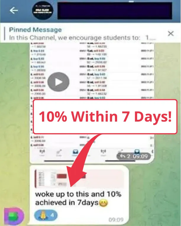 Student testimonial screenshot 4